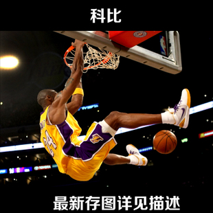 怎么买收养关系公证书